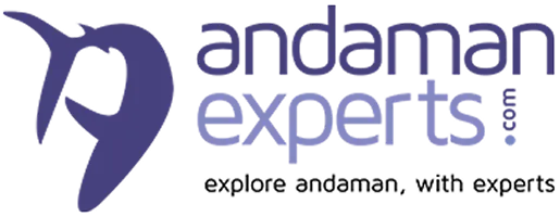 591d3e4b90279131_logo.png's Logo"