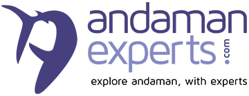 Andaman Experts's Logo"