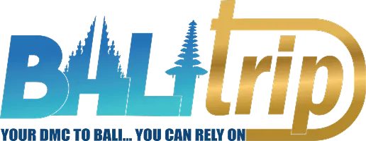 ssd-logo.png's Logo"