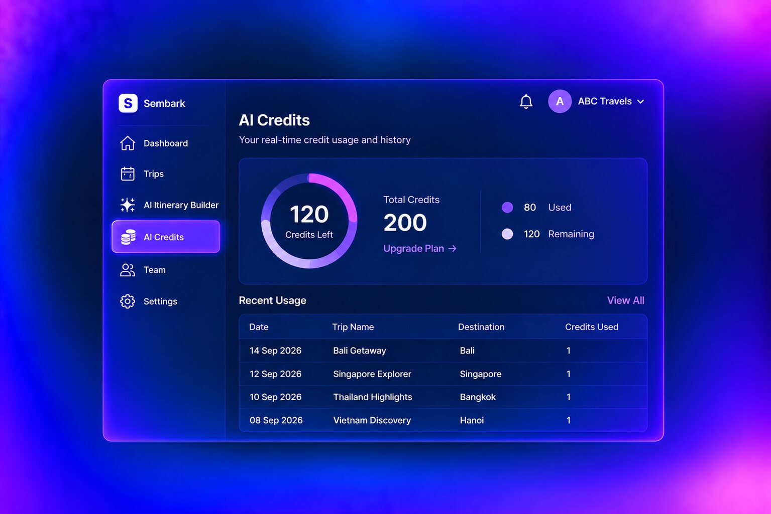 Image showing Credit Usage Dashboard