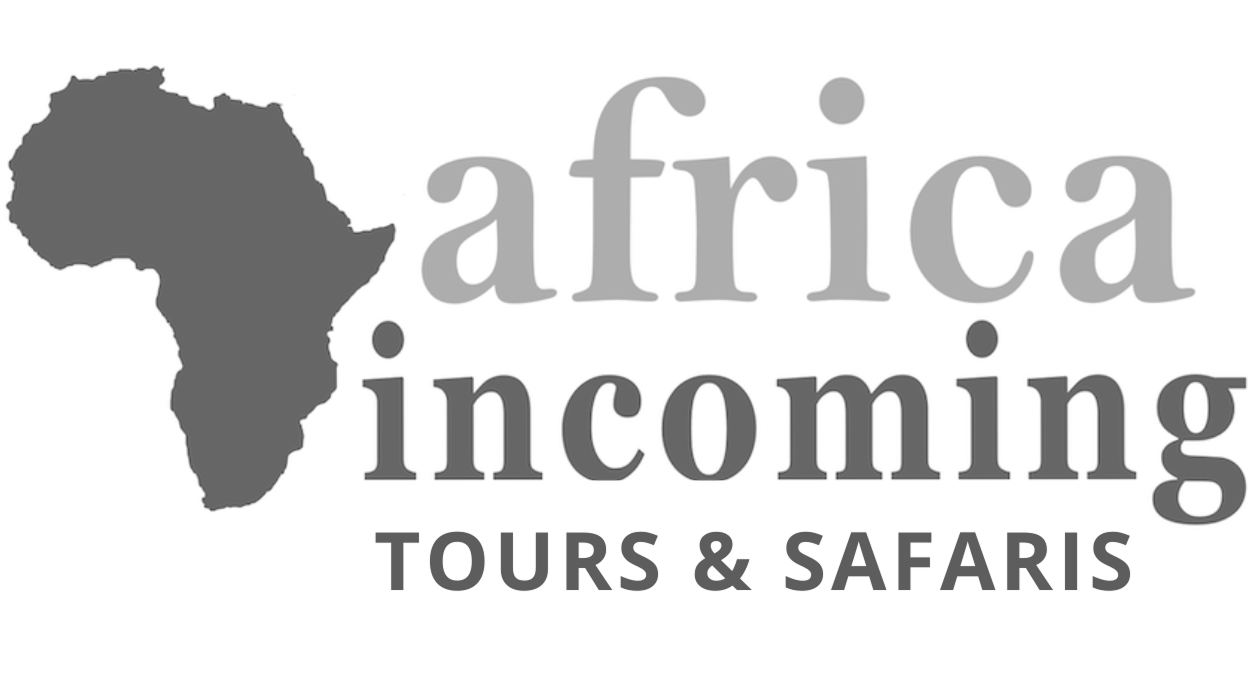 Africa Incoming's Logo"