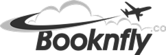 Book N Fly's Logo"