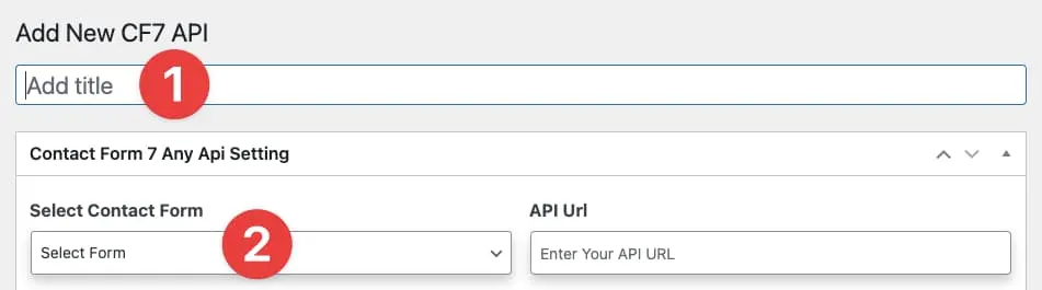 Image showing inputs for API Integration name and CF7 dropdown