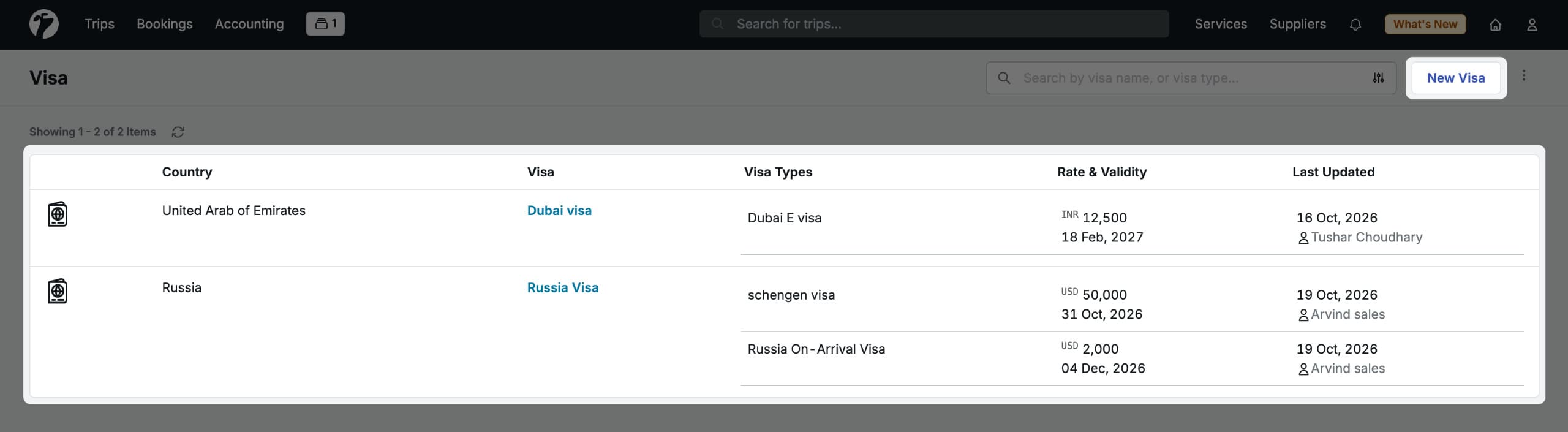 Image showing the Visa Services page with the visa table and the New Visa button